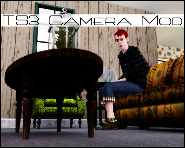 sims 3 camera buy mode